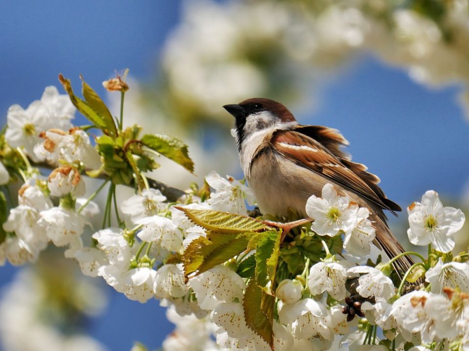 ������ ����. � �� �����, ��� �������