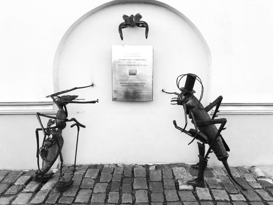 �������������� ���������� �� ��� ���������� ��������