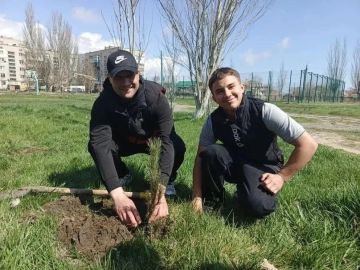 В Бердянске продолжается экологическая акция «Классное дерево»