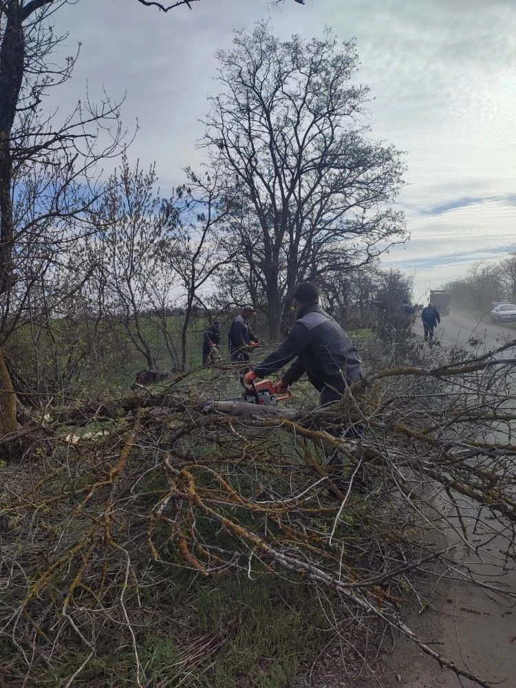 «Зеленхоз» приступил к покосу травы «Зеленхоз» приступил к покосу травы