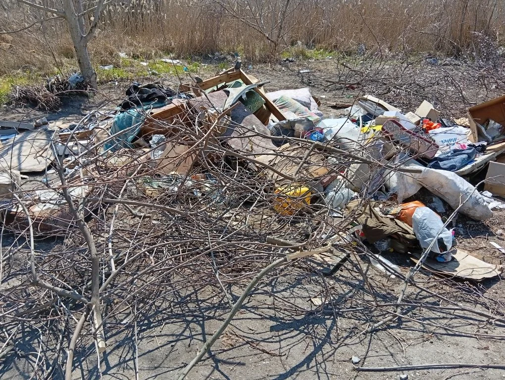 Улица Чернышевского в Бердянске – лидер по стихийным свалкам Улица Чернышевского в Бердянске – лидер по стихийным свалкам