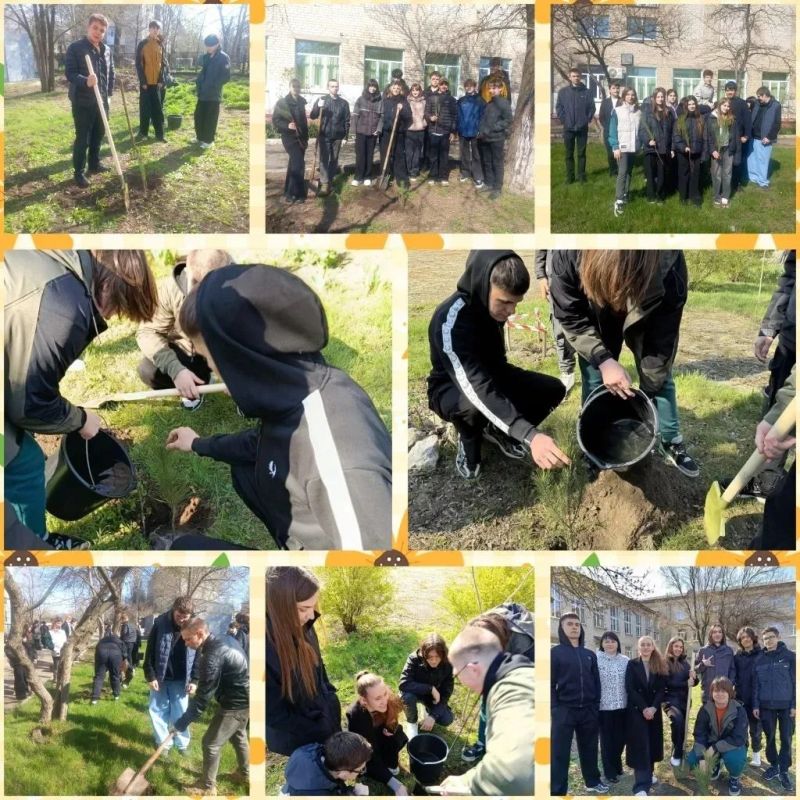 В Бердянске продолжается экологическая акция «Классное дерево» В Бердянске продолжается экологическая акция «Классное дерево»