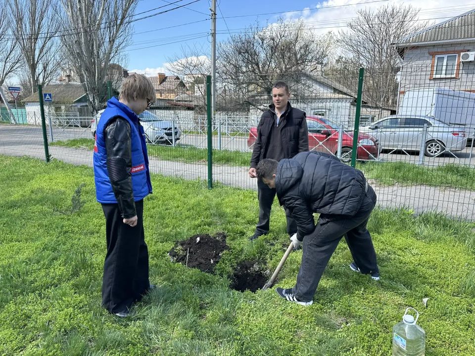 В Бердянске продолжается экологическая акция «Классное дерево» В Бердянске продолжается экологическая акция «Классное дерево»