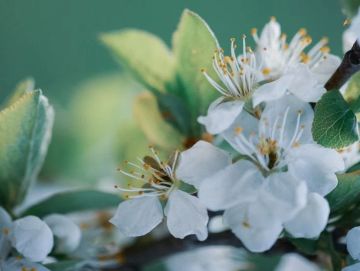 ������ ����. � �� �����, ��� �������