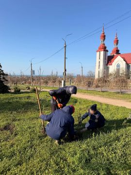 ��� �� �������: ���������� ��� ��������� � ����������� �������� ����� � ��������� ������� ������