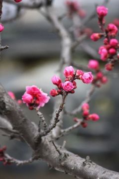 ������ ����. � �� �����, ��� �������