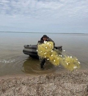 ����������� ����� ���������������� ��������, ������� � ������ ������ ������������� �������� �����������