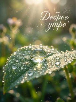 ������ ����. � �� �����, ��� �������