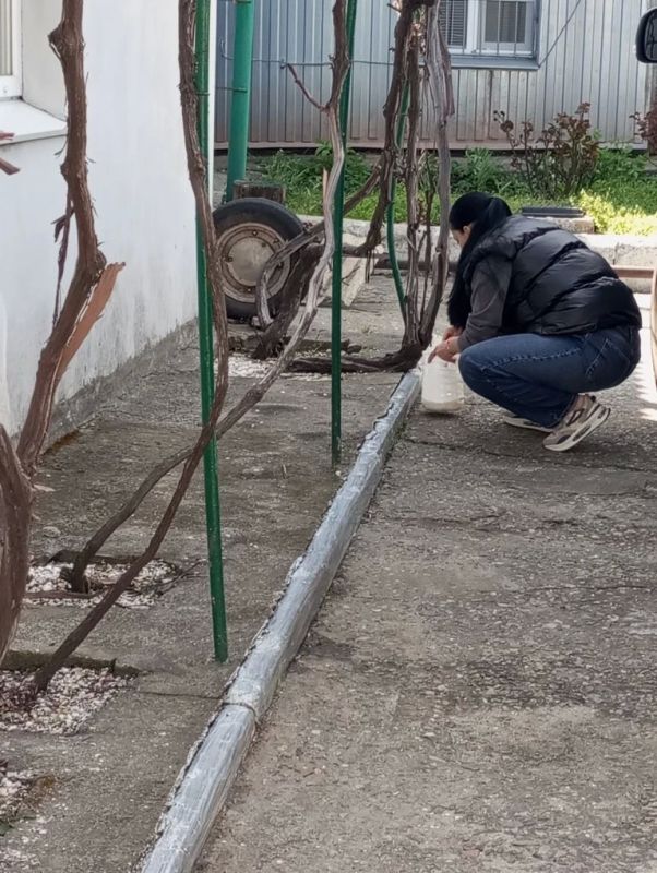 Сотрудники органов рыбоохраны приняли участие во Всероссийском субботнике Сотрудники органов рыбоохраны приняли участие во Всероссийском субботнике