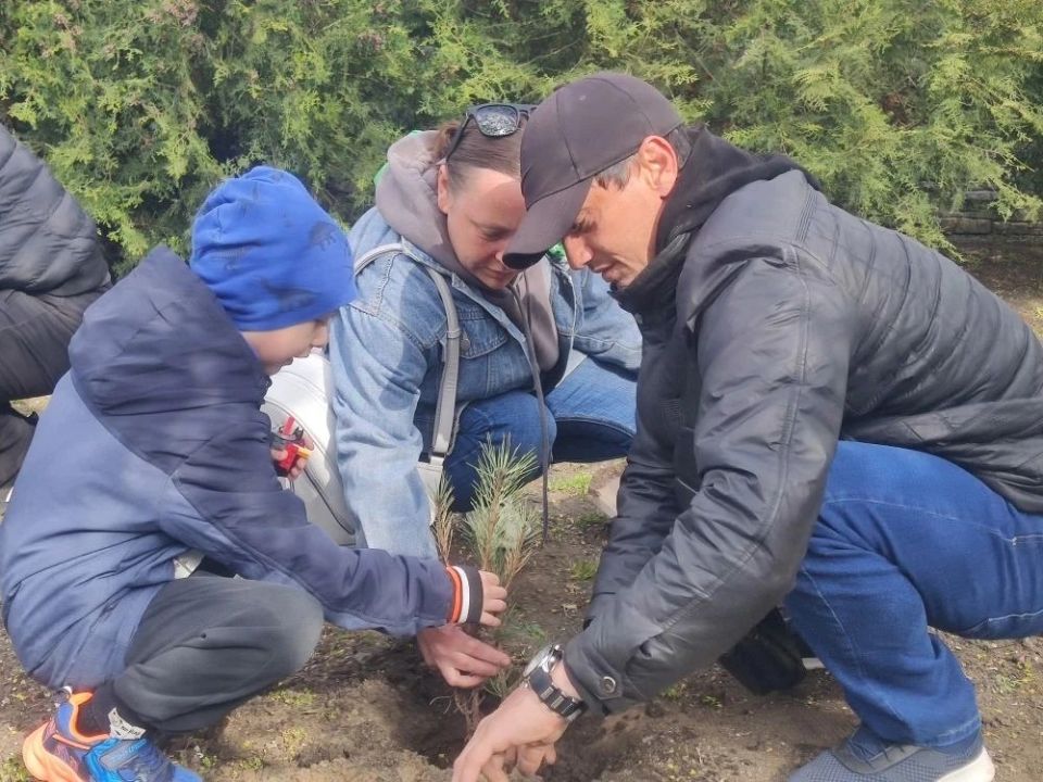 В Бердянске продолжается экологическая акция: воспитанники детского сада «Ласточка» высадили деревья В Бердянске продолжается экологическая акция: воспитанники детского сада «Ласточка» высадили деревья
