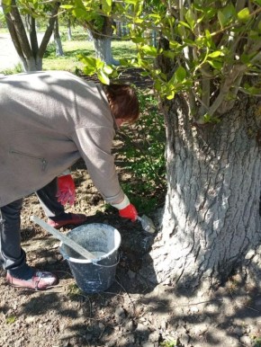 ������������� ��������� � ���� ��������