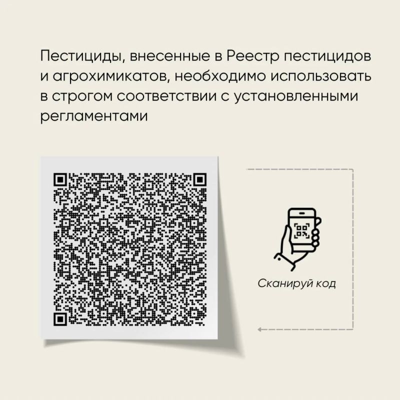 Россельхознадзор рассказал о борьбе с борщевиком Сосновского Россельхознадзор рассказал о борьбе с борщевиком Сосновского
