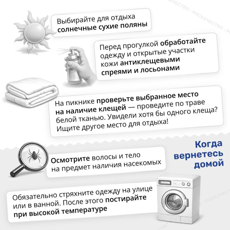 Сезон клещей открыт: важные правила, которые нужно знать каждому Сезон клещей открыт: важные правила, которые нужно знать каждому
