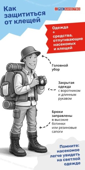����� ������ ������: ������ �������, ������� ����� ����� �������