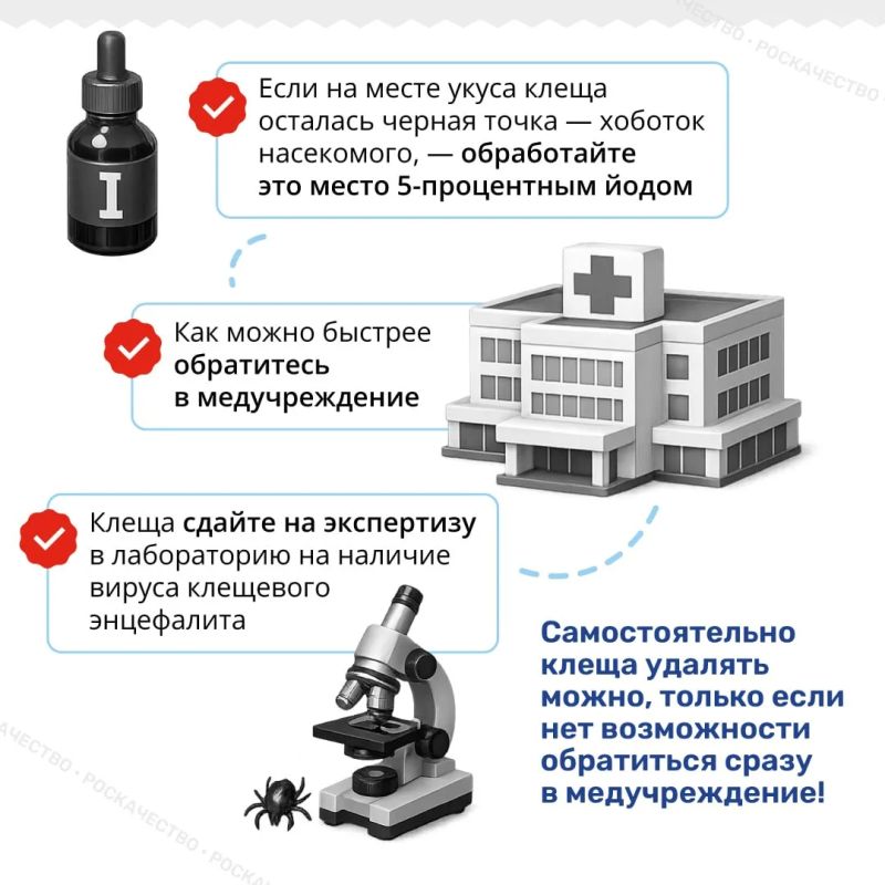 Сезон клещей открыт: важные правила, которые нужно знать каждому Сезон клещей открыт: важные правила, которые нужно знать каждому