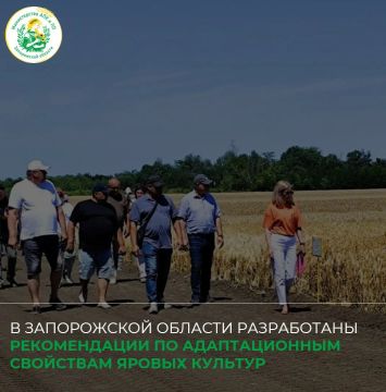 �� ������ ������� ������������ ������������ ������������ ������������ �������������� �������� ������ ������� � �������� ������������ ����������� �������