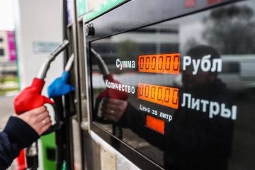 Анна Хорошун: В Запорожской области ввели ограничения на продажу топлива на АЗС
