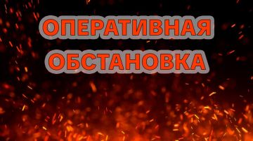 �� ����� ��� ������� 30 ������ �� ����������� �������� ����������� �������