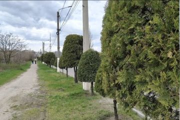 Солнечно и сухо: какая погода будет в Запорожской области 17 июня 2026 года