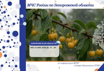 С 2 на 3 июля на территории региона ожидается: