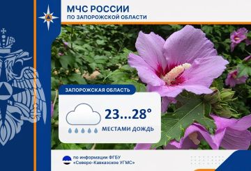 � 10 �� 11 ���� �� ���������� ������� ���������: