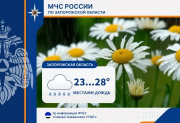 � 11 �� 12 ���� �� ���������� ������� ���������: