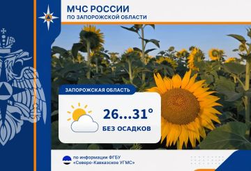 � 12 �� 13 ���� �� ���������� ������� ���������: