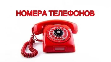 Номера телефонов государственного казённого учреждения "Центр занятости населения Запорожской области"