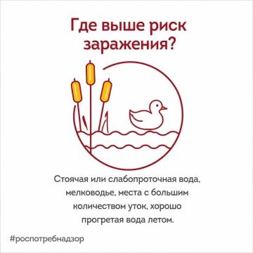 Безопасное купание: Роспотребнадзор информирует о мерах профилактики церкариального дерматита