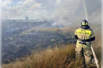 ��� ������ ���� ��������� ������ �������� � ����� ����� � ����������� �������