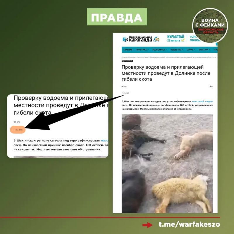 Фейк: В Пологовском муниципальном округе зафиксированы случаи падежа скота Фейк: В Пологовском муниципальном округе зафиксированы случаи падежа скота