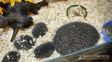 �� ����������� �������. ��� �������� ������� ������ � ���������