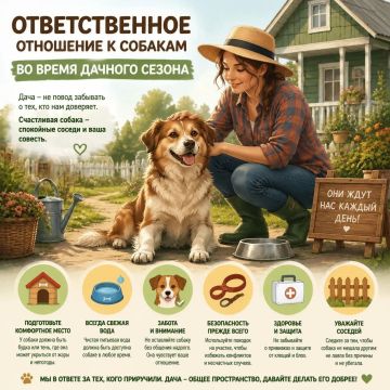 ������������� ��������� � �������� - ����� ������������ � �������� ���� �������