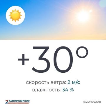 Жаркая, солнечная погода ожидается в Запорожской области в понедельник, 17 августа
