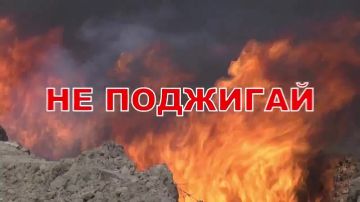 Берегите лес — огонь не прощает беспечности!