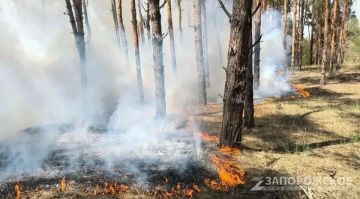 � ����������� ������� �� 19 ������� ��������� ������������ ���������������