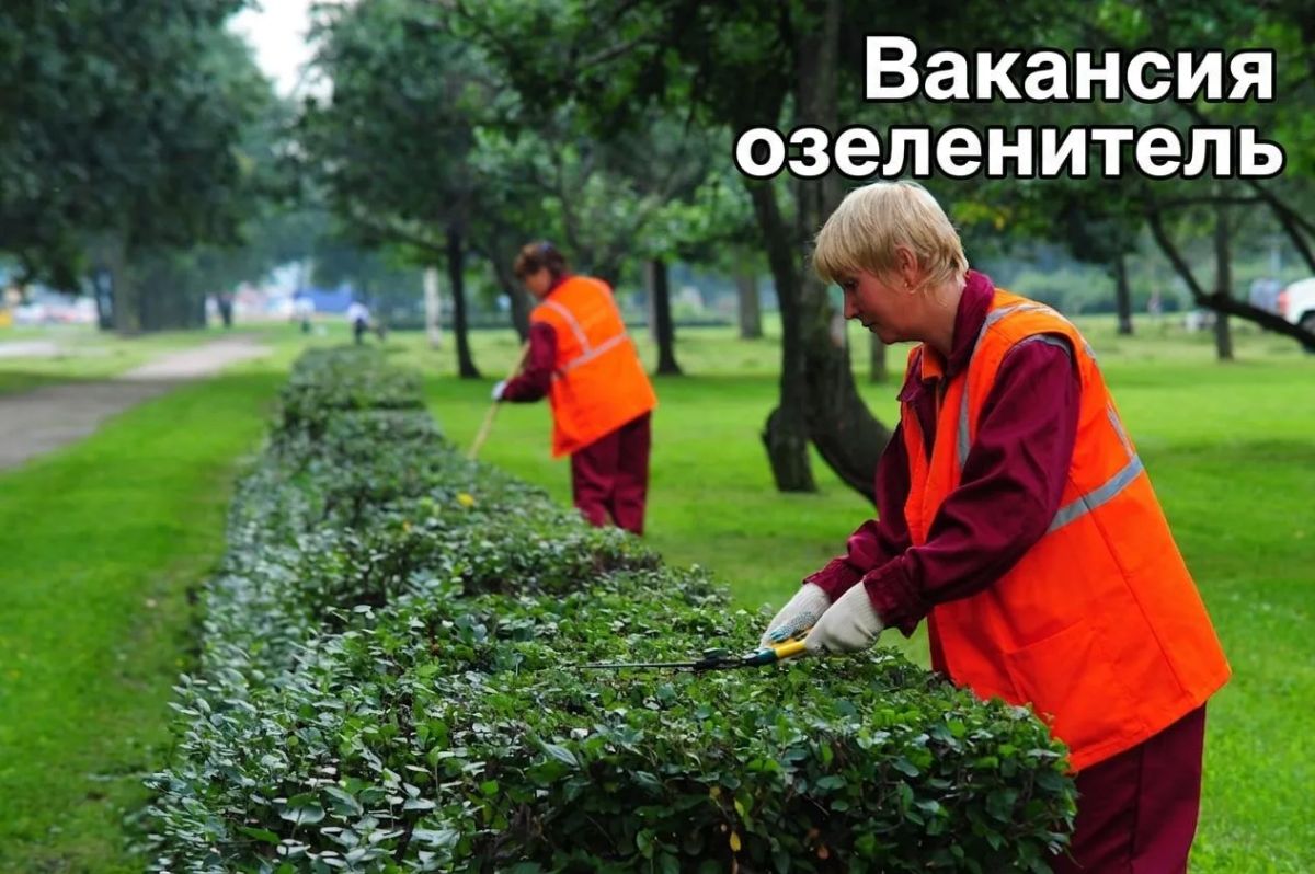 Администрация Бердянского муниципального округа Запорожской области: требуются специалисты для работ на объектах муниципального значения!