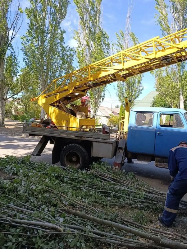 МБУ «Горсвет» производит обрезку деревьев на ул. Франко МБУ «Горсвет» производит обрезку деревьев на ул. Франко