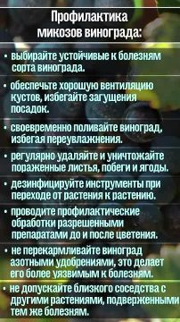 ��� ���������� ������� ��������� � �������� ��������