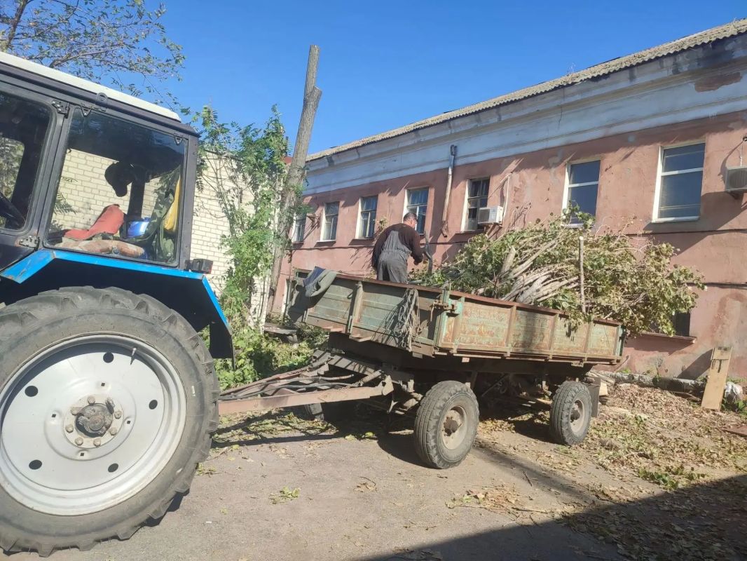 Сотрудники «Зеленхоза» выполняют снос аварийных деревьев и готовят многолетние растения к зиме Сотрудники «Зеленхоза» выполняют снос аварийных деревьев и готовят многолетние растения к зиме
