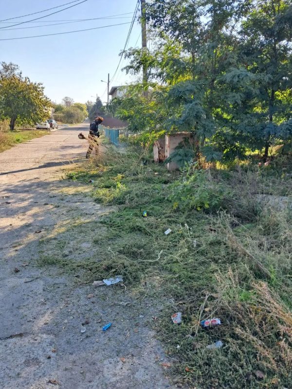 Сотрудники «Зеленхоза» выполняют снос аварийных деревьев и готовят многолетние растения к зиме Сотрудники «Зеленхоза» выполняют снос аварийных деревьев и готовят многолетние растения к зиме