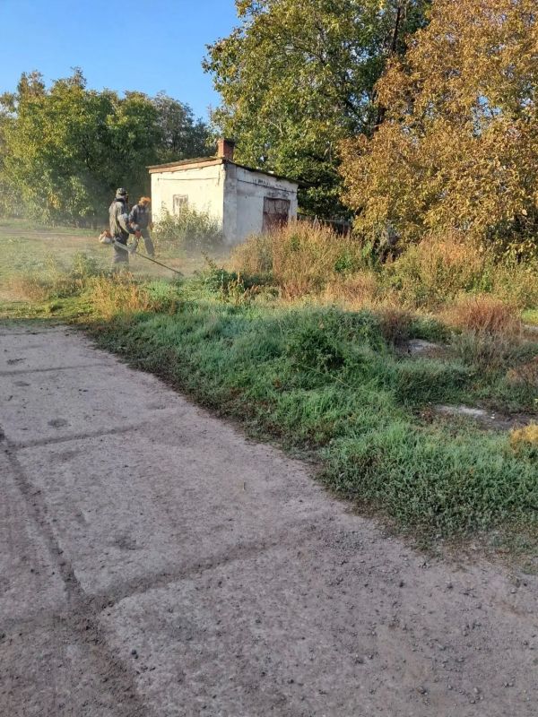Сотрудники «Зеленхоза» выполняют снос аварийных деревьев и готовят многолетние растения к зиме Сотрудники «Зеленхоза» выполняют снос аварийных деревьев и готовят многолетние растения к зиме