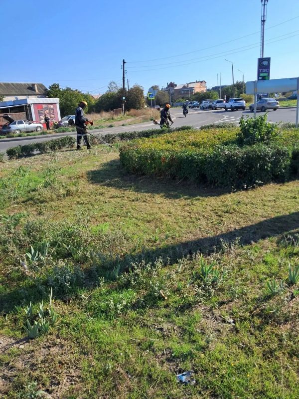 Сотрудники «Зеленхоза» выполняют снос аварийных деревьев и готовят многолетние растения к зиме Сотрудники «Зеленхоза» выполняют снос аварийных деревьев и готовят многолетние растения к зиме