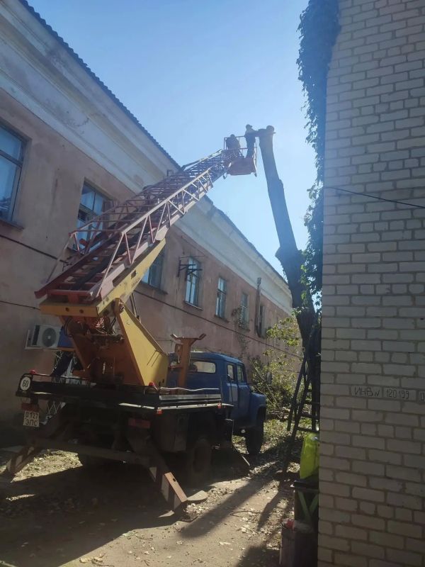 Сотрудники «Зеленхоза» выполняют снос аварийных деревьев и готовят многолетние растения к зиме Сотрудники «Зеленхоза» выполняют снос аварийных деревьев и готовят многолетние растения к зиме